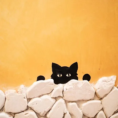 فندق مبيت وإفطار D'anzi جينوسا