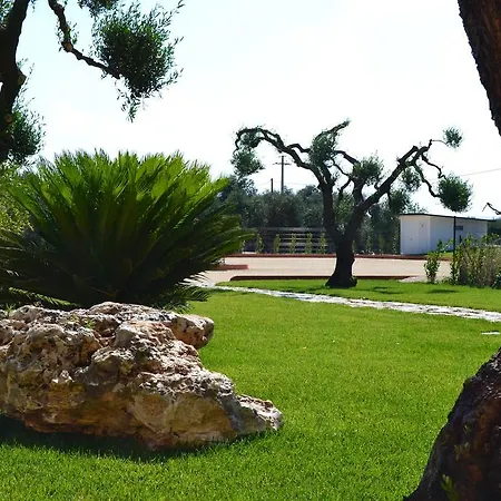 D'anzi 4* جينوسا