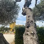 D'anzi Ginosa