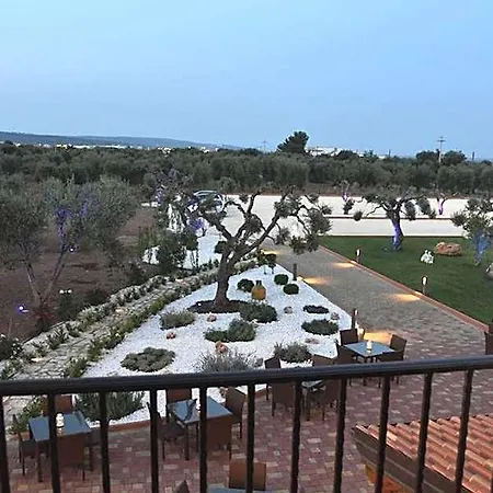 D'anzi 4*