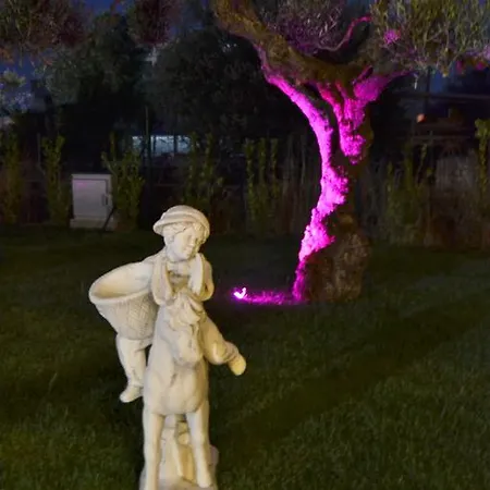 D'anzi 4* Ginosa